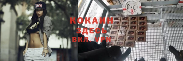 PSILOCYBIN Баксан