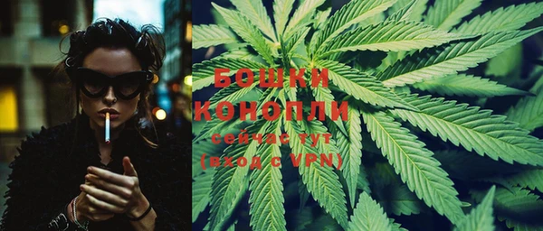 PSILOCYBIN Баксан