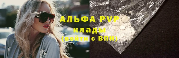 PSILOCYBIN Баксан