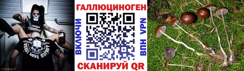 наркошоп  кракен вход  Псилоцибиновые грибы MAGIC MUSHROOMS  Лебедянь 